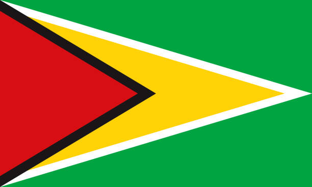 Guyana flag
